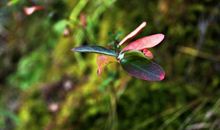 心中的一抹亮色