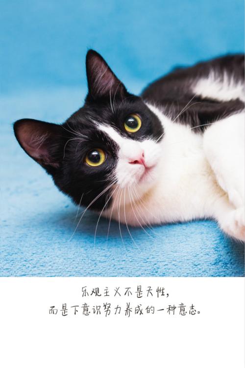 不完美