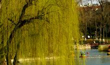 夸夸我们的花园