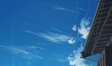 我想化作您的双腿