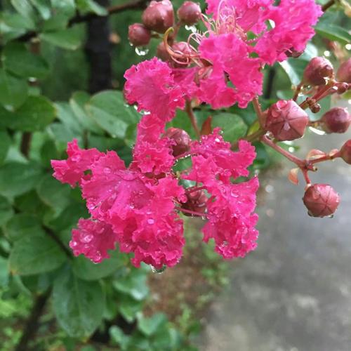 请保持阳光的核心