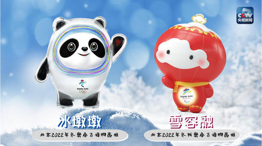 给冰码头的一封信