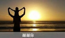 父爱是人生必修课