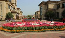 我爱你——巴东