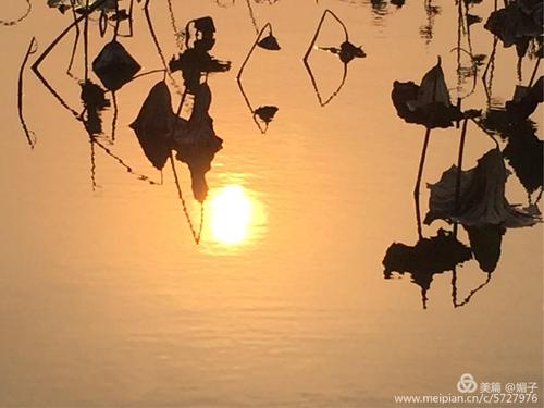 友谊让我不要放弃