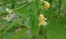 那缕阳光，照亮了心田