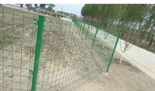 院墙外的天空记叙文作文