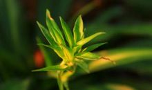 地铁中的一缕阳光