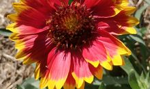 真正的安静源于内心