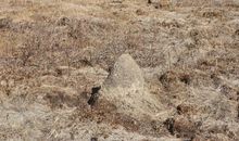 院墙外的天空散文