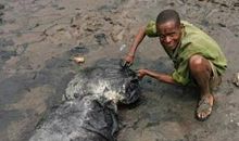 生命在痛的边缘