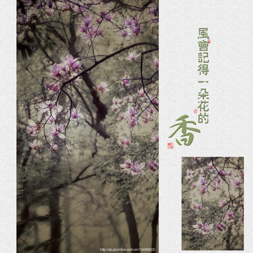 风会记得花香