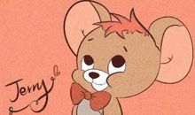 小猫给我带来了快乐