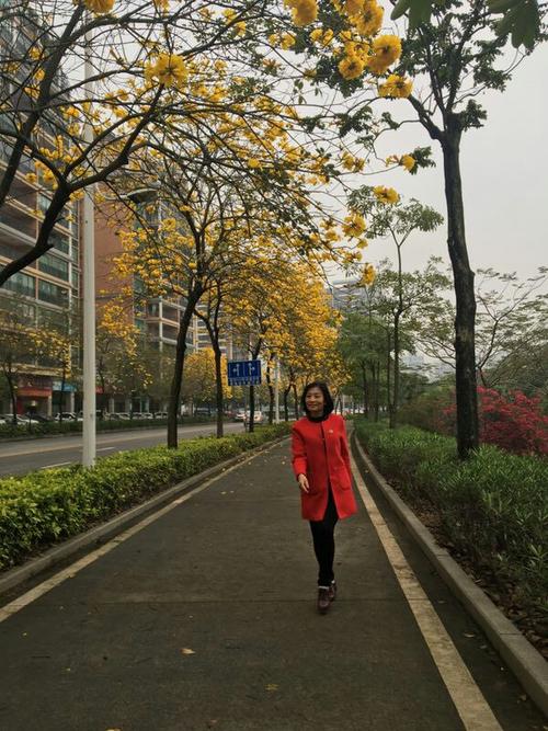 不要慢慢快点