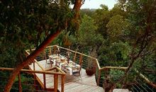 水池里的新鲜事