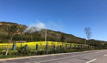 春节，我的所见所闻