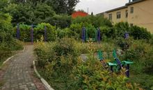 家乡的五年前后