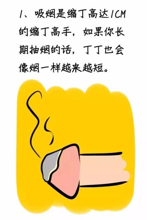 你说我说他说