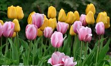 成功在于勇敢地尝试