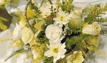 让梦想开出花朵