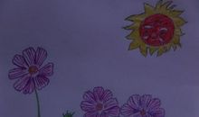 怀念花开的日子