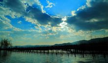 离别是思念的开始