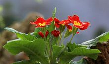 留在记忆中的一抹暖阳