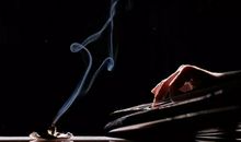 读《生命的本质》有感