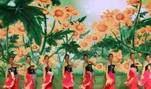 与舞蹈的一面之缘