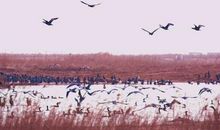 与钢琴的一面之缘