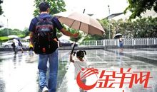 雨中，爸爸的背影