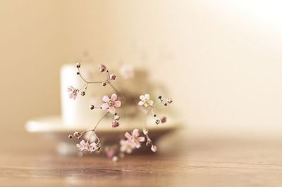 坚持不懈，