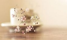 坚持不懈，方能成功