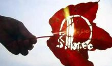 挥洒青春的汗水