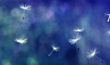 落入季节的怀里