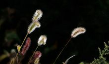 人非草木，孰能无情