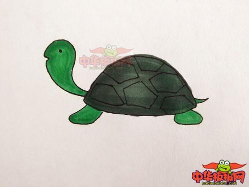 乌龟带给我幸福