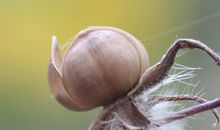 我心中的一丝牵挂