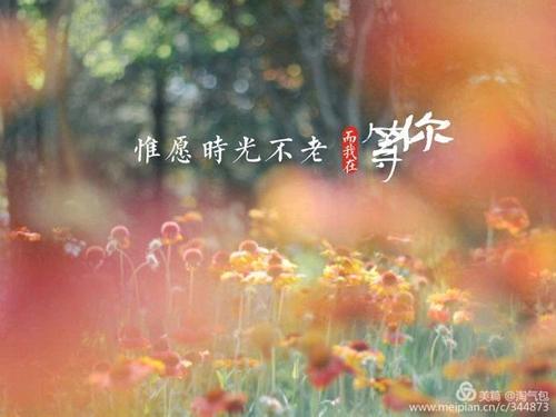 有时后悔也是一种遗憾