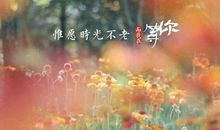 有时遗憾也是一种美