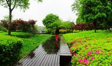 校园，美丽的画卷