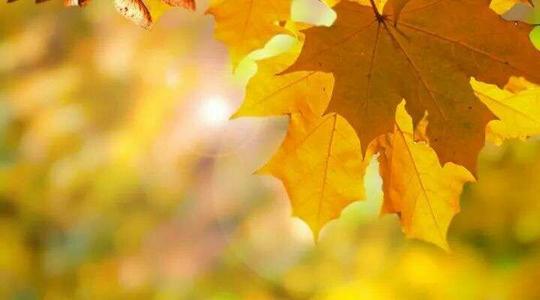 好家庭，没有价格