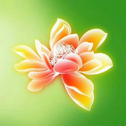 只是寻求花哨