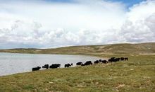 脚踏实地铸就辉煌