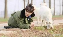 多想看到您的笑