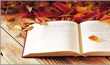 爱书如命的爸爸