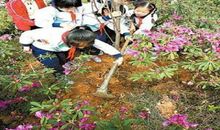 春光染艳我们双脚