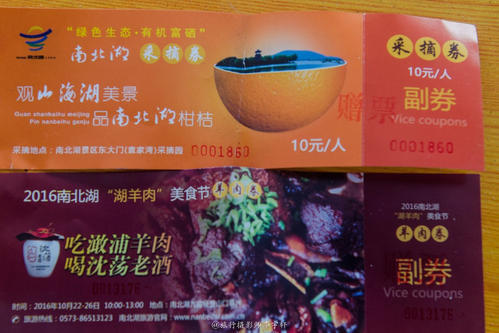 明亮的珍珠