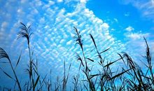 记忆中的那条小河