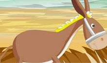 问世界寻一丝毅力